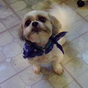 Meet your Posher, Valley